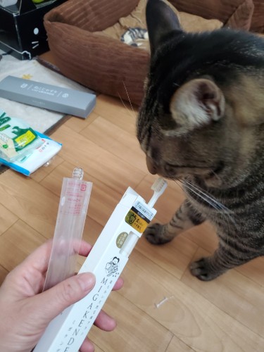 ペットショップで見つけたヤギの毛のブラシをはっぴーは一番気に入りました。でも歯ブラシの名がMIGAKENDEって、「磨けんのかい？」。柄の持ちやすさとか、しなり具合とか、ブラシそれぞれなのでお好みを