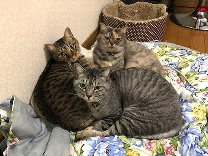 とにかくいつも一緒