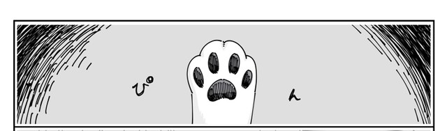 箱から肉球がピン！（提供：キュルZさん）