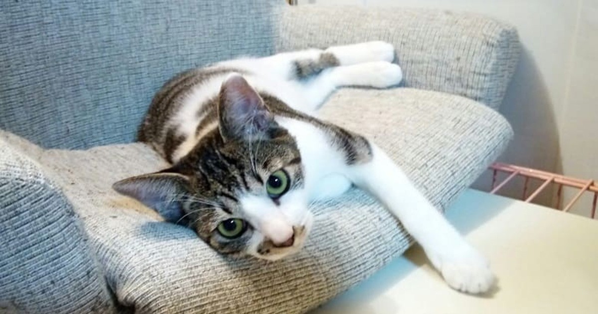 e9f5784080baeb1da80b1adad55139