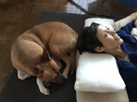 病の妻を支えた保護犬……２０１９年読まれた記事ベスト５　犬編