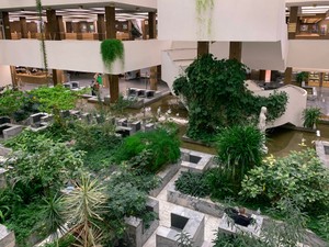 本が紙の集合体なら図書館はマイナスイオン漂う森林、私のオアシス