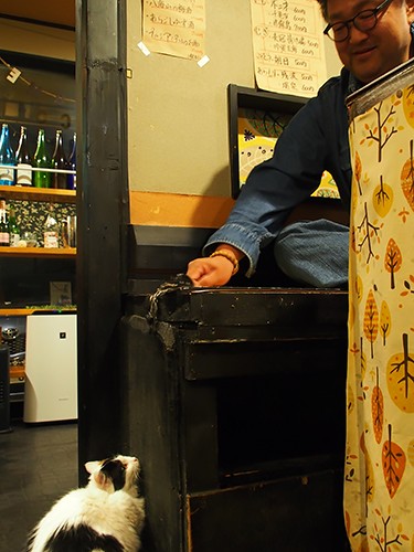 キーで遊んでもらう