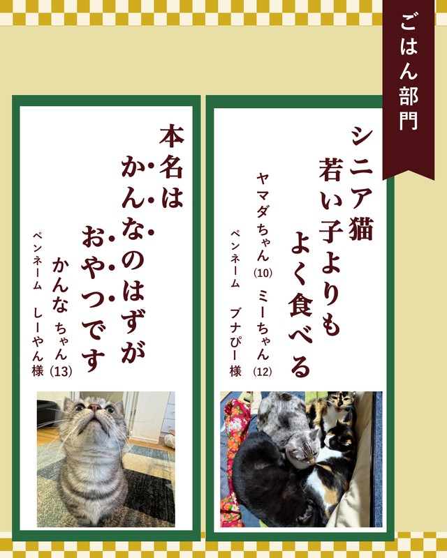 ごはん部門入選作