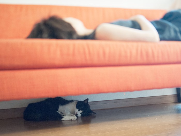 「夏の二段ベッドは下が涼しいよ」（小林写函撮影）