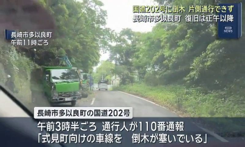 依存と傾倒 長崎市多以良町の国道202号に倒木 片側通行できず 復旧は正午以降(6