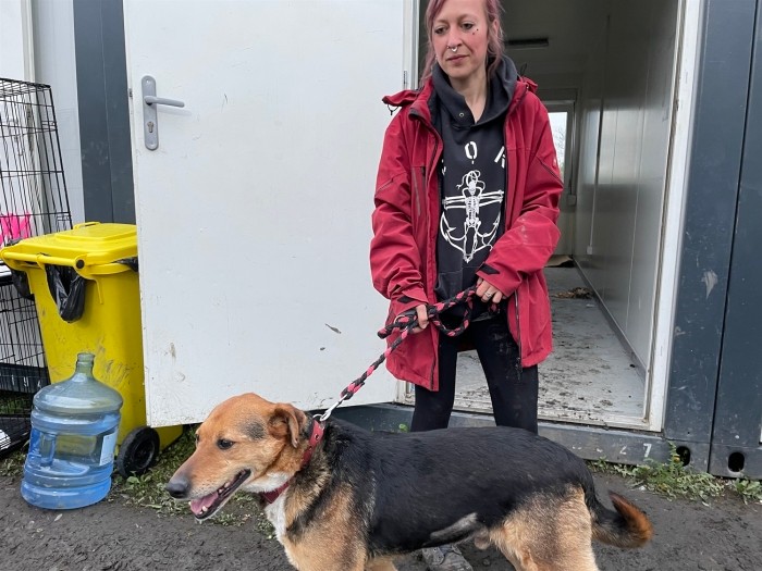 ドイツから車を走らせてきたというボランティアの女性