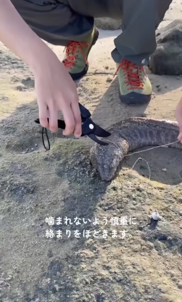慎重に釣り糸を剪定バサミで切っていきます／投稿主さん提供