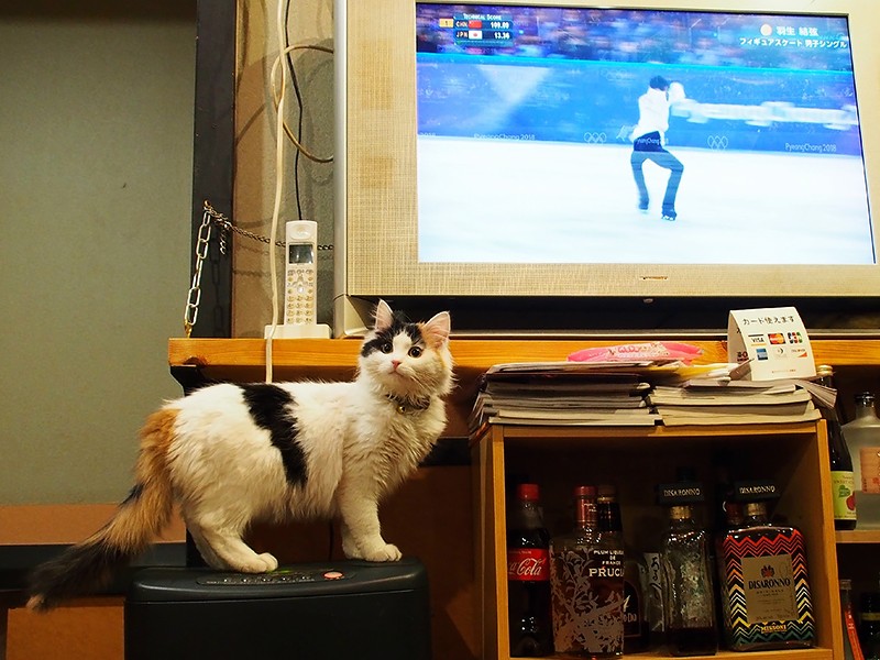五輪男子フィギュアスケート中継中