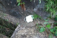 こちらは過去に投稿された「道のはしにいるマスク」のぬいぐるみの画像（画像提供：カネヒラ/空想アパートメントさん）