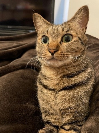 立派に成長しました（石川さん提供）