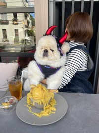 実はこんなジャンボサイズ！（画像提供：ペキニーズのぱるくん）