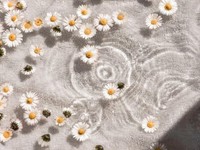 痛みや痒みは、自分を理解するためのシグナルとして存在しているのかもしれない