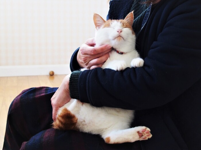 前より、かまってちゃんになりました