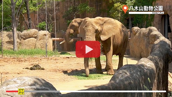 #57八木山動物公園①