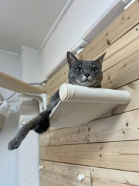お嬢様気質でもある、みりんちゃん