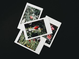 気づいたら夢中になっていたあの子。それは人生初の甘い存在になった