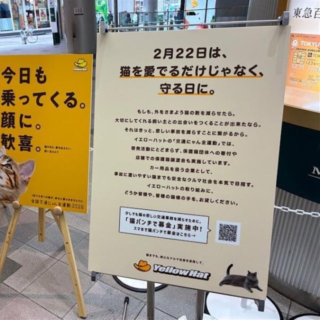 「猫の日」にかけるイエローハットの想い。募金上限の「300万円」を達成した2026年の「猫パンチ募金」も保護猫・動物愛護団体に寄付されるそうだ（画像提供：イエローハット）（画像提供：イエローハット）