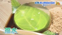福水