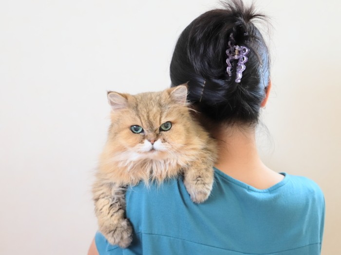 写真を撮ってもらうのが大好き！にゃんちーちゃんだけでもしっかりカメラ目線（中尾亜希さん提供）