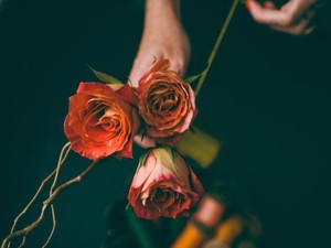 「産まれてこなければ良かった」と母に暴言。謝れなかった自分が憎い