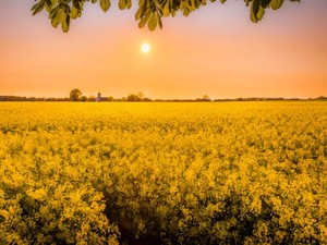 非常勤。ボーナスはなし、時給制で毎月の給料はバラバラ。でも自由な時間が格段に増えた