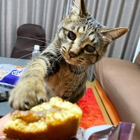 それ、くださ～い！