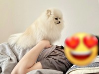 「パパ、起きて」 じっと見つめるコロ太くん（画像提供：コロ太くん）