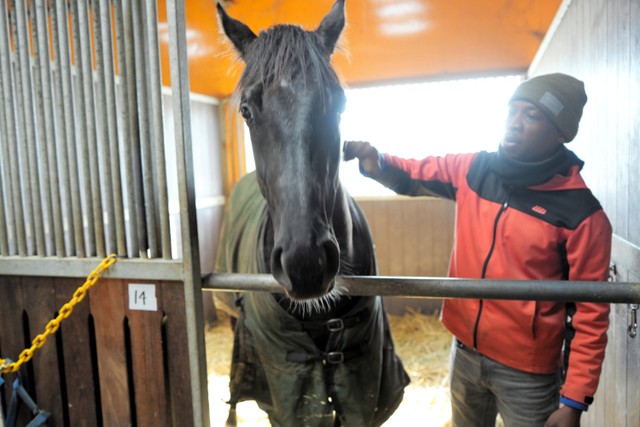馬には、人を集め、働かせ、土地の歴史を引き受けながら町のかたちそのものを変えていく力がある=2026年2月19日、北海道浦河町、高久潤撮影