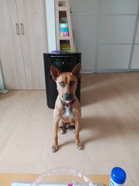 ぱっと見は強面のアイゼン君ですが、実はとってもやさしい男の子
