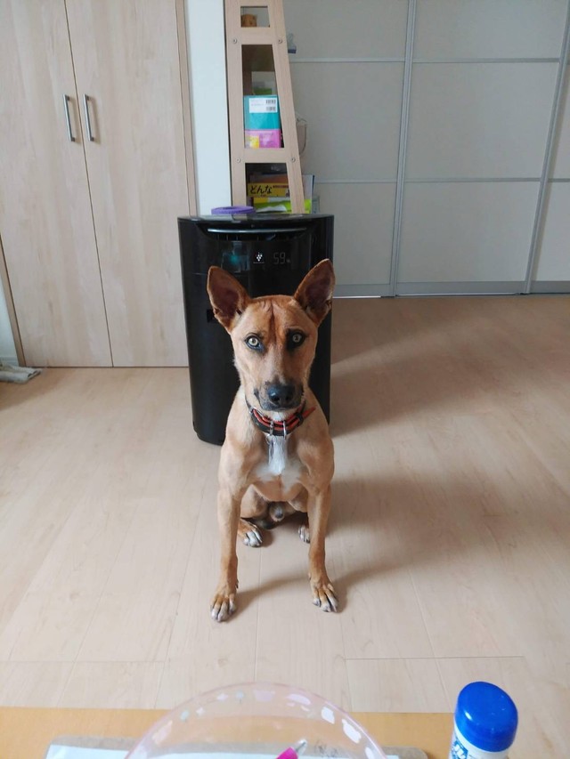 ぱっと見は強面のアイゼン君ですが、実はとってもやさしい男の子
