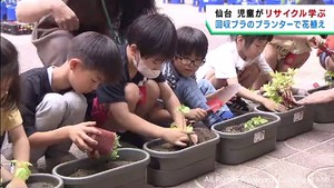 リサイクルの大切さ学ぶ　仙台・宮城野区で小学生がリサイクルプランターに花を植える