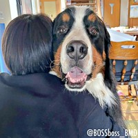 抱っこしてもらってニコニコ笑顔になったボスくん（画像提供：ボスちんさん）