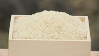 資料　コメ