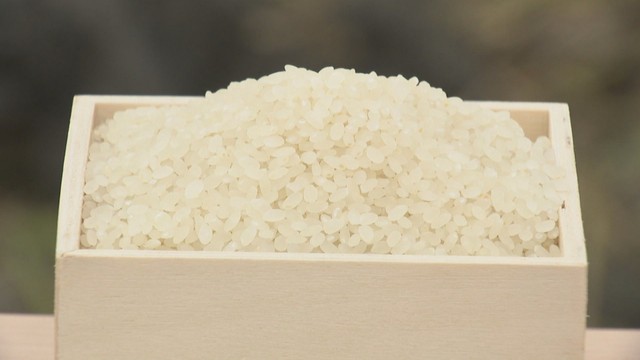 資料　コメ