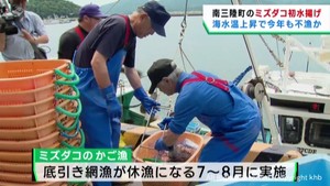 宮城・南三陸町でミズダコ漁始まる　初日の水揚げは前年の１／４