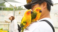 イベントでは、これくらいの距離で動物と触れ合えます（提供：劇団ペンターズ🐧イマイケルさん）