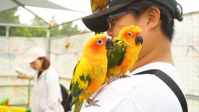 イベントでは、これくらいの距離で動物と触れ合えます（提供：劇団ペンターズ🐧イマイケルさん）