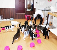 えさの時間になるとみんなが駆け寄る