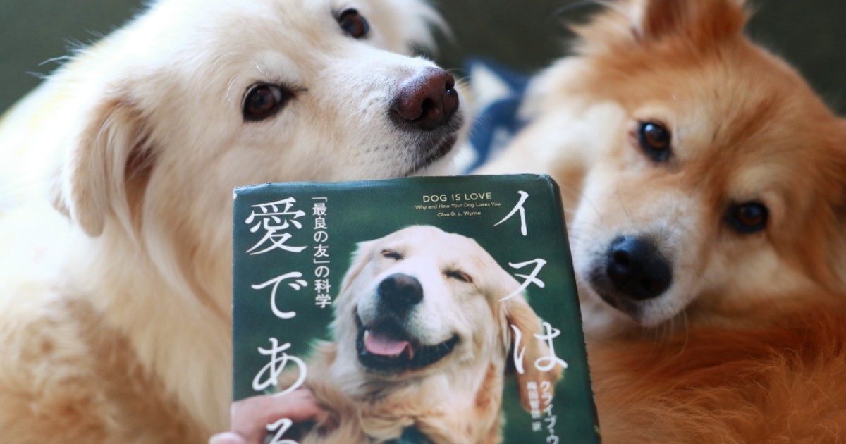 犬は果たして「愛」なのか 富士丸、大吉、福助と暮らして知ったこと