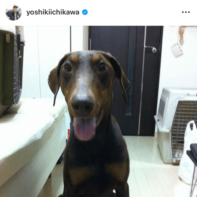 市川欣希 (@yoshikiichikawa)さんのインスタグラムより