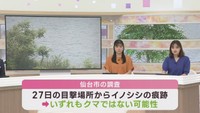 河口付近でクマ目撃が相次ぐもクマではない可能性　仙台・宮城野区