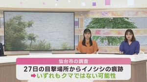 河口付近でクマ目撃が相次ぐもクマではない可能性　仙台・宮城野区