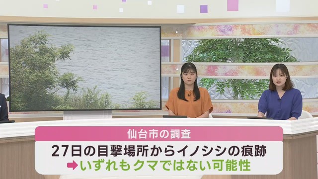 河口付近でクマ目撃が相次ぐもクマではない可能性　仙台・宮城野区