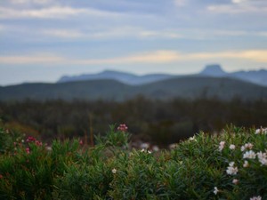 3桁課金して手に入れた「可愛い」。自分の努力の結晶を愛しく思う
