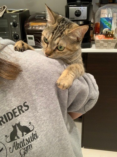 くっつくのが好きなモカ（健太さん提供）