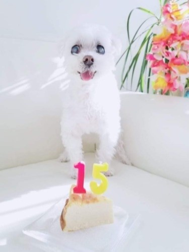 １５歳の誕生日を迎えることができました（提供写真）