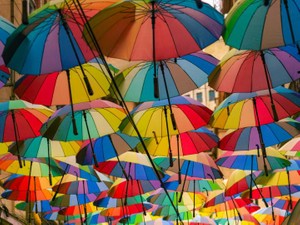 世界の生の声を聞くことで、ドラマより面白い現実世界が見えてくる