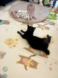 互いに見つめている様子（提供：なつ🧸5m🐍☺︎さん）