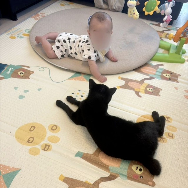 互いに見つめている様子（提供：なつ🧸5m🐍☺︎さん）